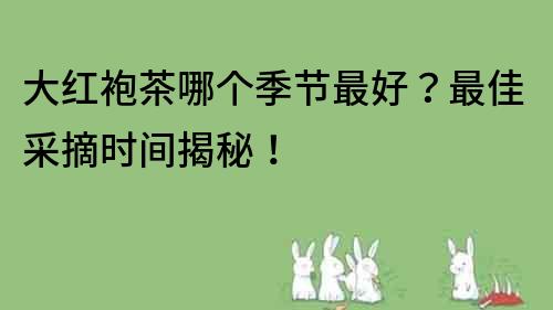 大紅袍茶哪個季節最好？最佳采摘時間揭秘！