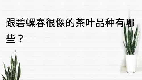 跟碧螺春很像的茶葉品種有哪些？
