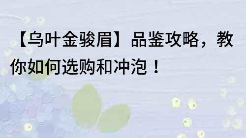 【烏葉金駿眉】品鑒攻略，教你如何選購和沖泡！