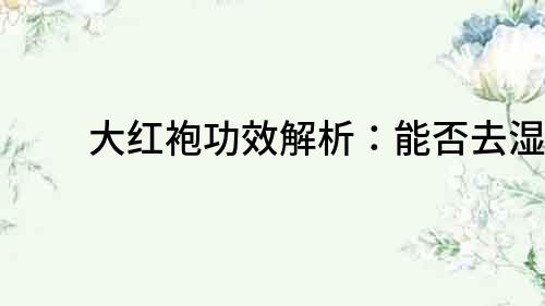 大紅袍功效解析：能否去濕？