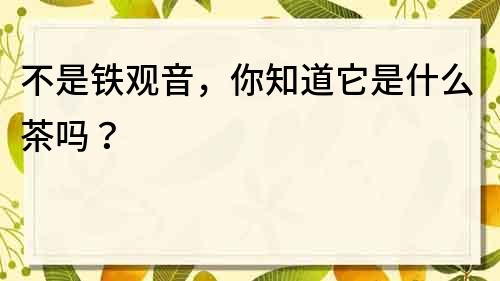不是鐵觀音，你知道它是什么茶嗎？
