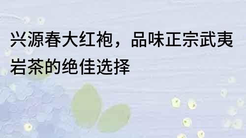 興源春大紅袍，品味正宗武夷巖茶的絕佳選擇