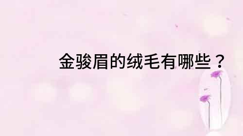 金駿眉的絨毛有哪些？