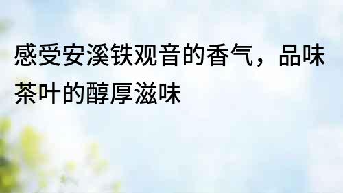 感受安溪鐵觀音的香氣，品味茶葉的醇厚滋味