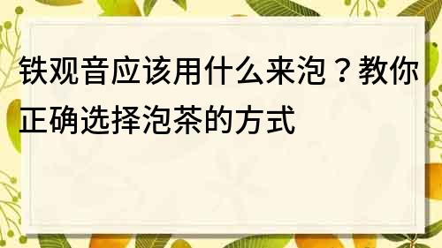 鐵觀音應(yīng)該用什么來(lái)泡？教你正確選擇泡茶的方式