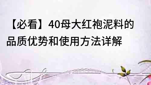 【必看】40母大紅袍泥料的品質優勢和使用方法詳解