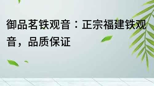 御品茗鐵觀音：正宗福建鐵觀音，品質保證