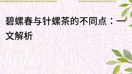 碧螺春與針螺茶的不同點：一文解析
