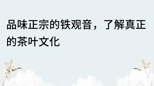 品味正宗的鐵觀音，了解真正的茶葉文化