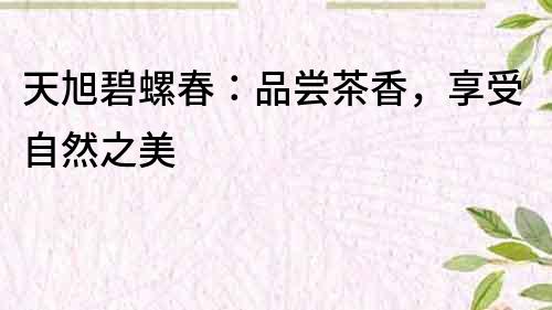 天旭碧螺春：品嘗茶香，享受自然之美