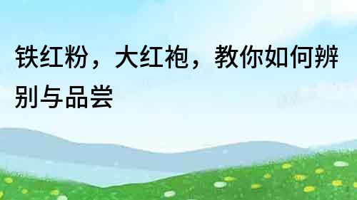 鐵紅粉，大紅袍，教你如何辨別與品嘗