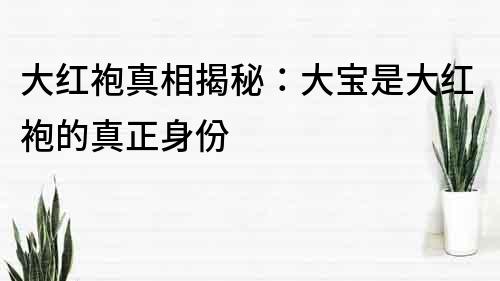 大紅袍真相揭秘：大寶是大紅袍的真正身份