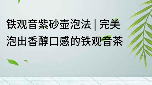 鐵觀音紫砂壺泡法 | 完美泡出香醇口感的鐵觀音茶