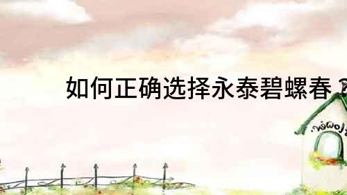 如何正確選擇永泰碧螺春？