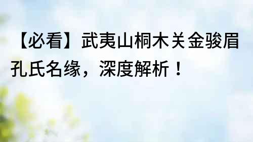 【必看】武夷山桐木關(guān)金駿眉孔氏名緣，深度解析！