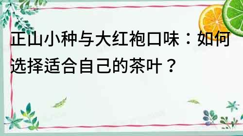 正山小種與大紅袍口味：如何選擇適合自己的茶葉？