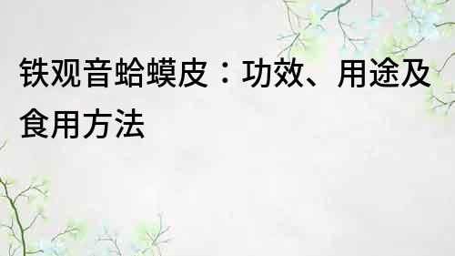 鐵觀音蛤蟆皮：功效、用途及食用方法