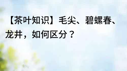 【茶葉知識】毛尖、碧螺春、龍井，如何區分？