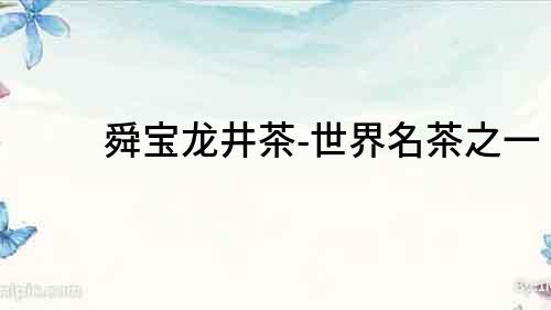舜寶龍井茶-世界名茶之一