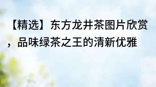 【精選】東方龍井茶圖片欣賞，品味綠茶之王的清新優雅