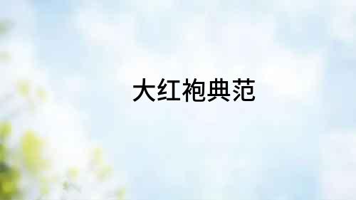 大紅袍典范