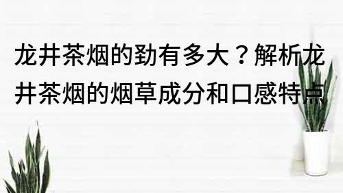 龍井茶煙的勁有多大？解析龍井茶煙的煙草成分和口感特點