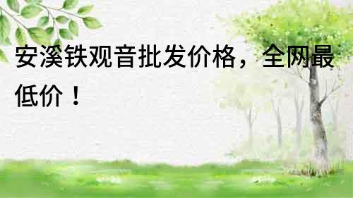 安溪鐵觀音批發價格，全網最低價！
