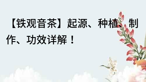 【鐵觀音茶】起源、種植、制作、功效詳解！