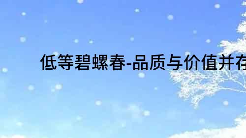低等碧螺春-品質與價值并存