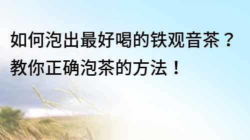 如何泡出最好喝的鐵觀音茶？教你正確泡茶的方法！