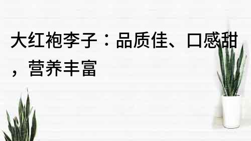 大紅袍李子：品質佳、口感甜，營養豐富