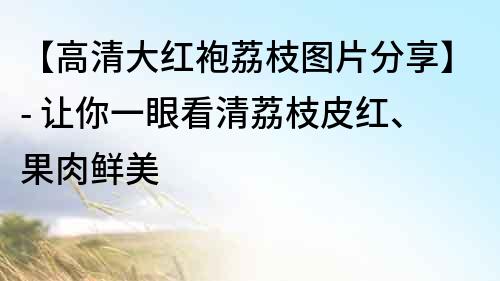 【高清大紅袍荔枝圖片分享】- 讓你一眼看清荔枝皮紅、果肉鮮美