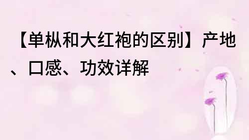 【單樅和大紅袍的區(qū)別】產(chǎn)地、口感、功效詳解