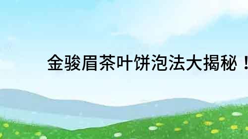金駿眉茶葉餅泡法大揭秘！
