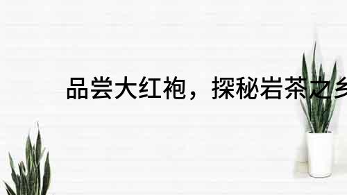 品嘗大紅袍，探秘巖茶之鄉