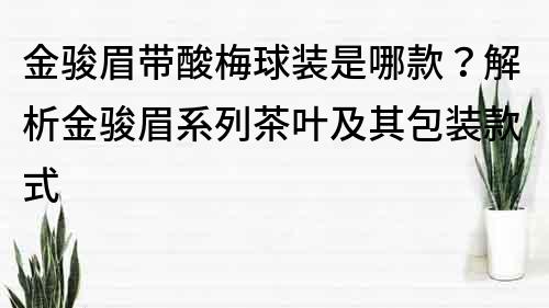 金駿眉帶酸梅球裝是哪款？解析金駿眉系列茶葉及其包裝款式