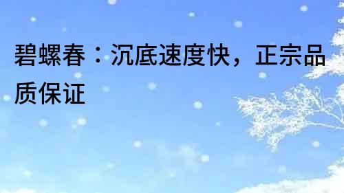 碧螺春：沉底速度快，正宗品質(zhì)保證