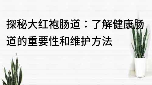 探秘大紅袍腸道：了解健康腸道的重要性和維護方法