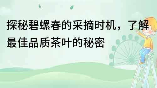 探秘碧螺春的采摘時(shí)機(jī)，了解最佳品質(zhì)茶葉的秘密
