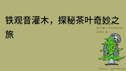 鐵觀音灌木，探秘茶葉奇妙之旅