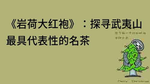 《巖荷大紅袍》：探尋武夷山最具代表性的名茶