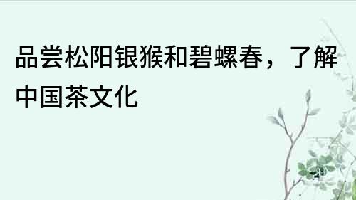 品嘗松陽銀猴和碧螺春，了解中國茶文化