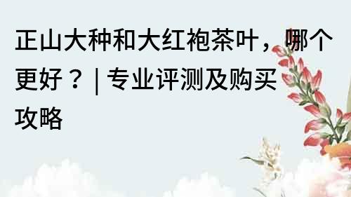 正山大種和大紅袍茶葉，哪個更好？ | 專業評測及購買攻略