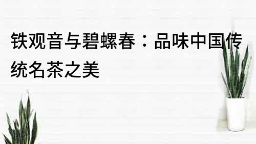 鐵觀音與碧螺春：品味中國傳統名茶之美
