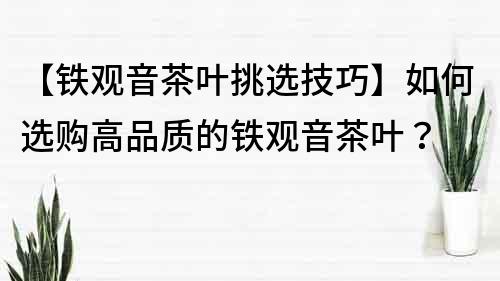 【鐵觀音茶葉挑選技巧】如何選購高品質的鐵觀音茶葉？