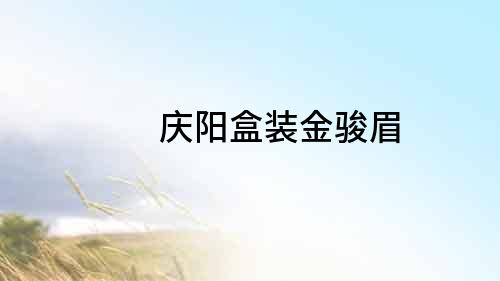 慶陽盒裝金駿眉