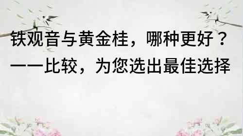 鐵觀音與黃金桂，哪種更好？一一比較，為您選出最佳選擇