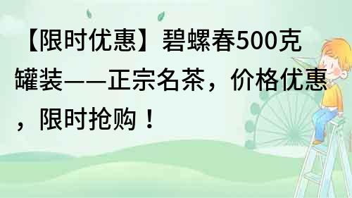 【限時優惠】碧螺春500克罐裝——正宗名茶，價格優惠，限時搶購！