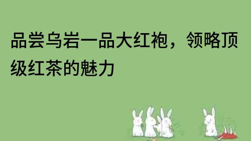品嘗烏巖一品大紅袍，領略頂級紅茶的魅力