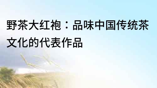 野茶大紅袍：品味中國傳統茶文化的代表作品